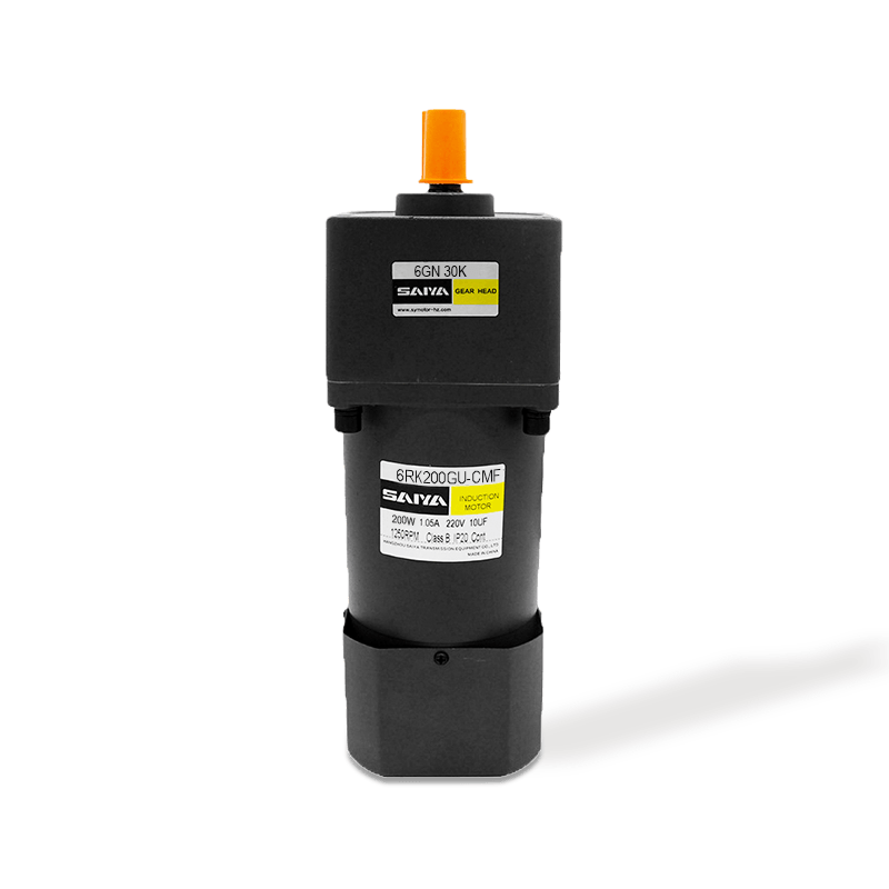 200W reversible Wechselstromgetränkemotoren