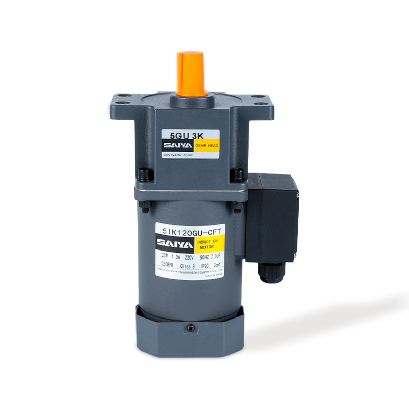 120W -Induktion AC -Gangmotoren