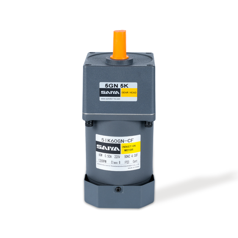 60 -W -Induktion AC -Ausrüstungsmotoren