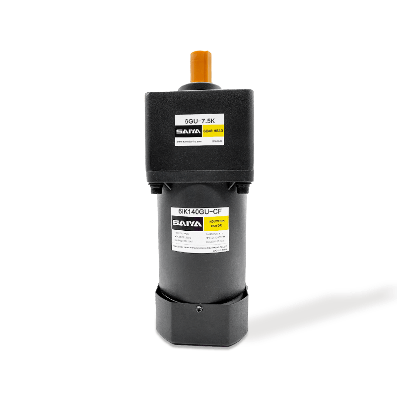 140W Induktion AC -Gangmotoren