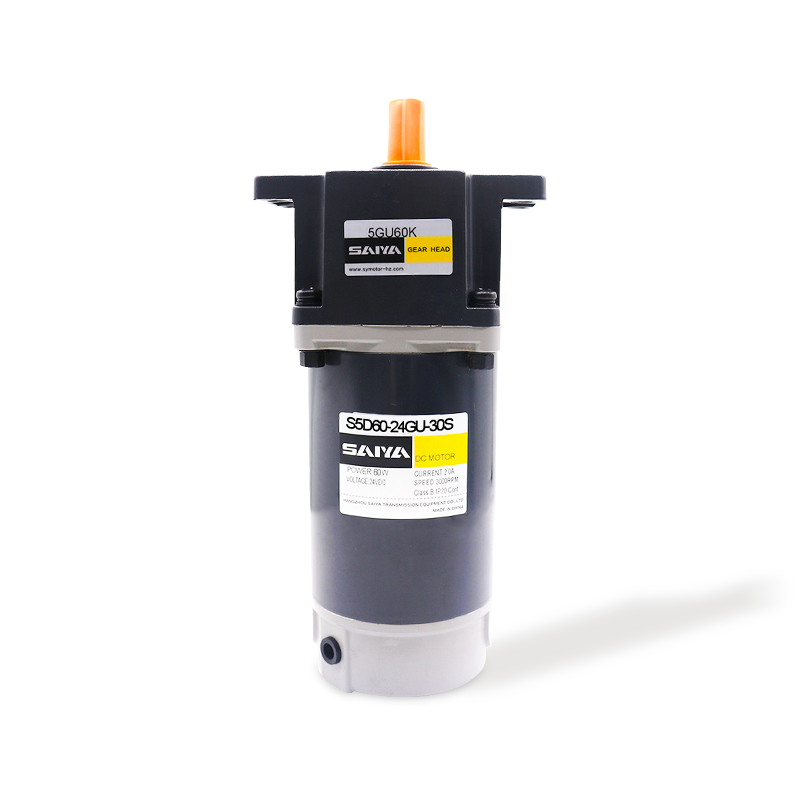 60W Pinsel DC -Zahnradmotoren
