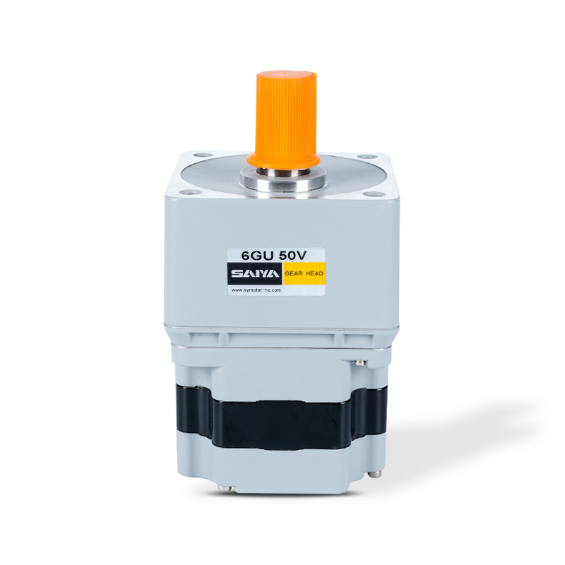 220V-230V bürstenloser Zahnradmotor